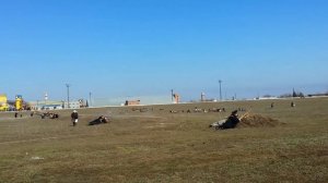 Реконструкция боя. Выселки.