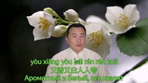 Chinese language. Урок китайского языка. Китайская песня＂Цветок жасмина＂