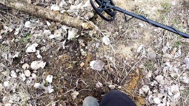 Первый коп.Отзыв о металлоискателе QUEST X5