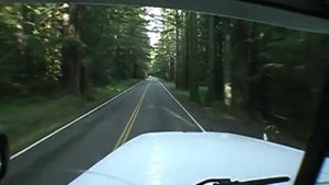 Сергей Нельсон .Русский водитель в Америке!