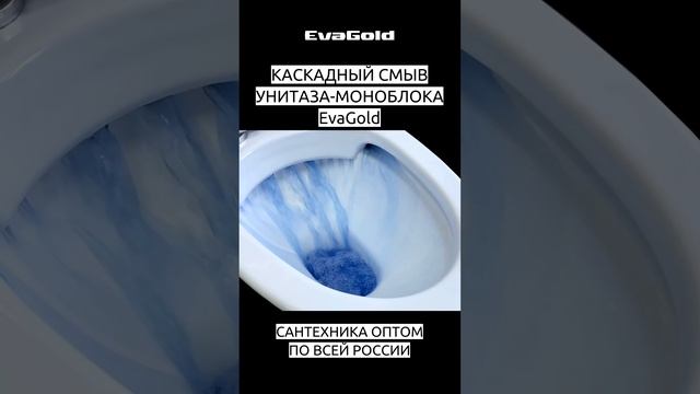 КАСКАДНЫЙ СМЫВ В УНИТАЗЕ-МОНОБЛОКЕ EvaGold