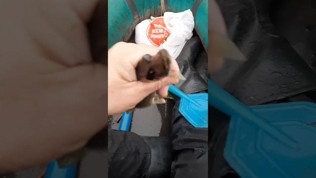 Сказка ложь, да в ней намёк! Добрым молодцам урок» Не сработало, видно что то упустил ))) смотреть онлайн