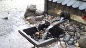 Пряхина Елена-Светлый Покров над Миром