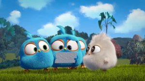 Angry Birds | Hatchlings' Best Moments