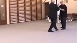 Вин Чун ДВА МАСТЕРА Юн Чун Обмен Опытом