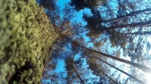 База отдыха Биг Фиш, Рыбинское водохранилище