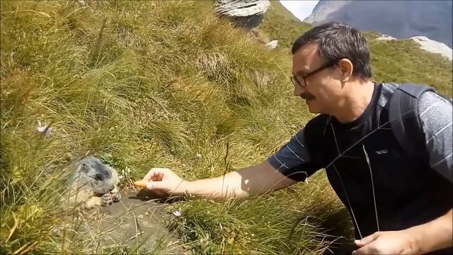 Австрия . Тур "Альпийская сказка" / Austria смотреть онлайн