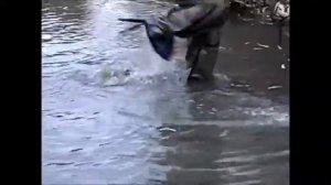 Ловля платвы сочком, осенью