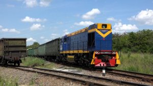 Маневровый тепловоз ТГМ6А-1438