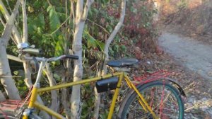 РЫБАЧИМ на САМОДЕЛЬНУЮ ЛОВУШКУ для РЫБЫ!?