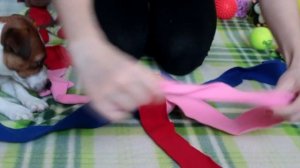 DIY КАК СДЕЛАТЬ КРУТУЮ ИГРУШКУ ДЛЯ СОБАКИ | ИГРУШКИ СВОИМИ РУКАМИ | ХЕНДМЕЙД