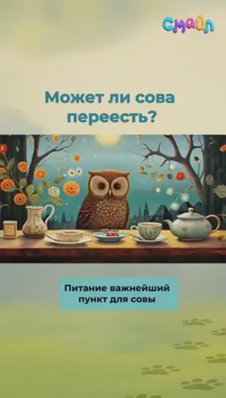 Может ли сова объесться?