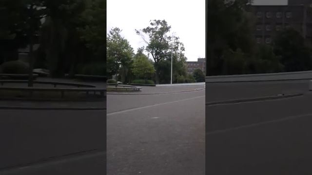 (12) Амстердам, местные гуси смотреть онлайн