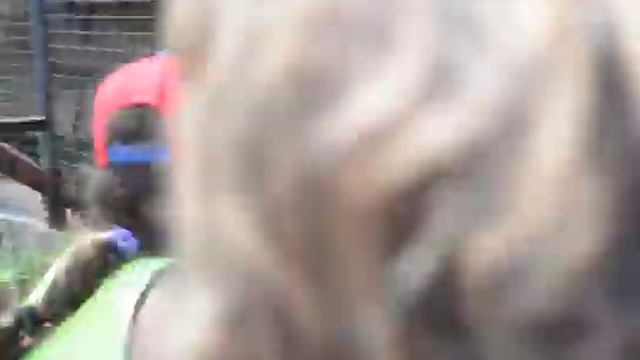 обезьяна таскает малыша за хвост смотреть онлайн