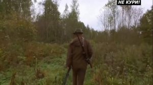 Трофейная охота на лося в Республике Беларусь. Охота на лося с вабой - 2021г
