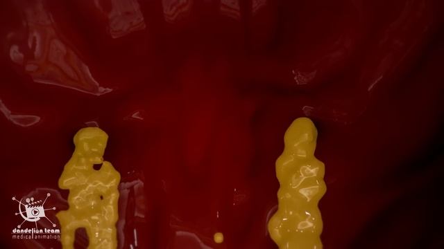 How is urine produced in the body?KIDNEY, NEPHRON, BLADDER FUNCTION|Anatomy of the Urinary System