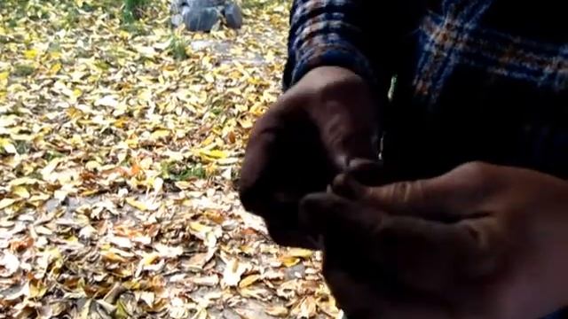 Моя ошибка при хранении чеснока. Учитесь на чужих ошибках