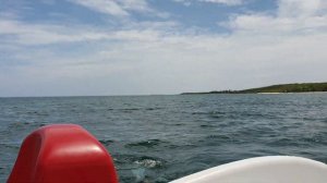 КУБА 2019. СНОРКЛИНГ СПРАВА ОТ ОТЕЛЯ BRISAS GUARDALAVACA