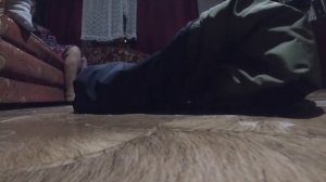Карликовый пудель ? взбесился!