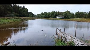 Небольшое озеро у д.Малиновка. Рыбалка. Видео и фото сюжет. A small lake at the village of Malinovk