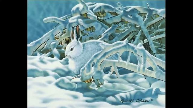 Виртуальный обзор книг детских писателей  - анималистов «С любовью к природе» смотреть онлайн