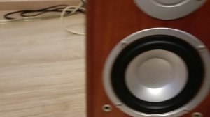 audio pro basiq 100 rear