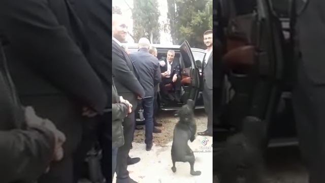 Sedat Peker adamına kızıyor