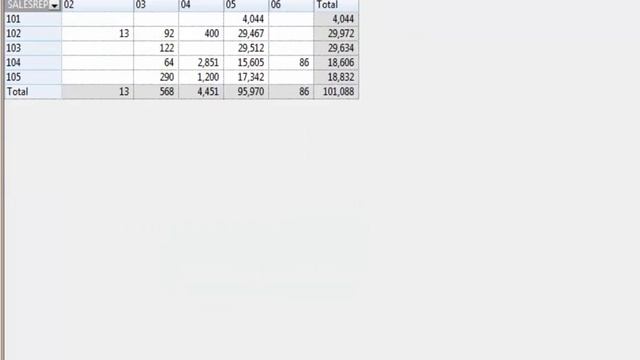 CaseWare IDEA Tutorials: Creating A Pivot Table In IDEA