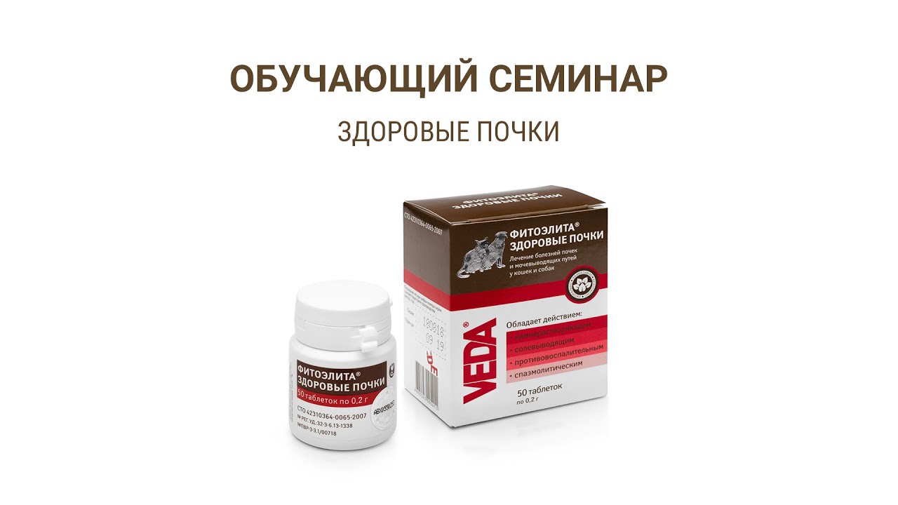 Здоровые почки для кошек