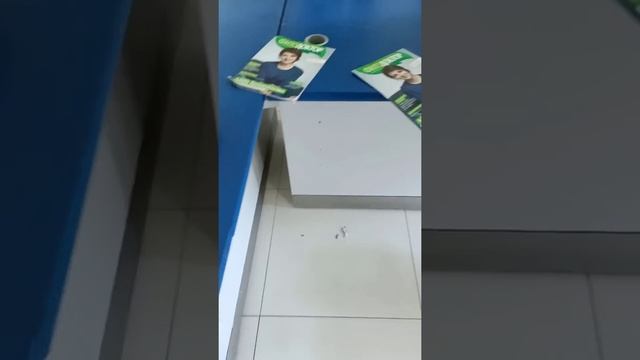 Право на самоопределение. 18+ Присутствует ненормативная лексика.