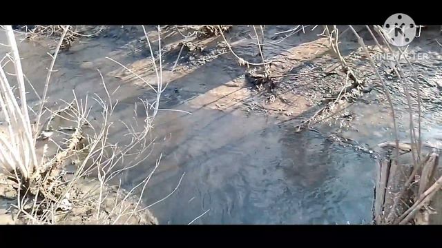 Хряк Бекон покинул нас. Готовлюсь к проверке, разобрал дамбу нужно вытащить бревно. смотреть онлайн