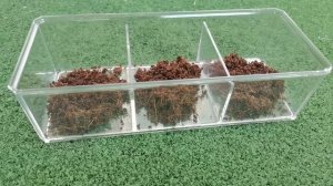 Террариум для скорпионов ( HOTTENTOTTA HOTTENTOTTA )