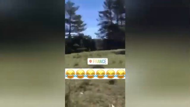 Негр ругается русским матом ?? смотреть онлайн