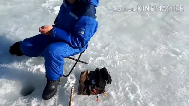 Едем на Имандру опять за корюшкой смотреть онлайн