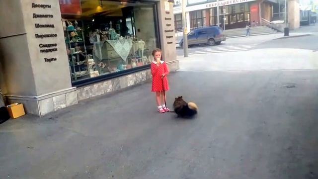 цветик  семицветик фотосессия