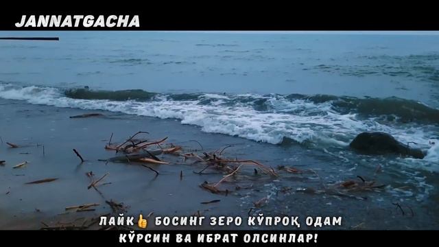 Охирги умматга башорат қилинган 3 хил синов°Абдуллох Домла°Abdulloh domla°Ilmnuri