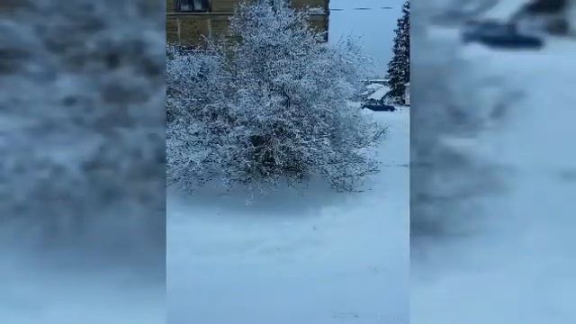 Зима в Невской Дубровке. Натэлла Пак.