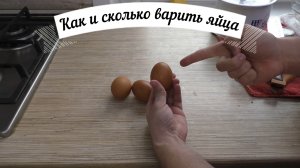 Сколько варить яйца? Варка яиц вкрутую