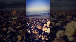 зачем мне солнце в Монако??