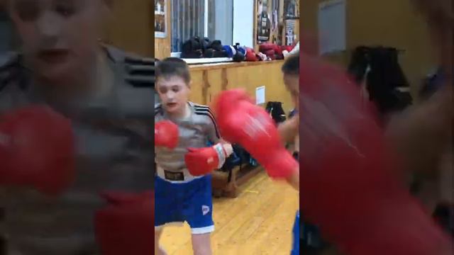 Боксерский кожаный мешок Спарринг МБНК160. Диаметр 35см, масса 70кг, высота 160см.