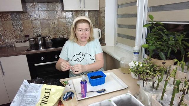 НАСТРОИЛА ПЛАНЫ-НАСМЕШИЛА БОГА/ Сажаю землянику и цветы/ Беларусь /Минск/ Ежедневный влог смотреть онлайн