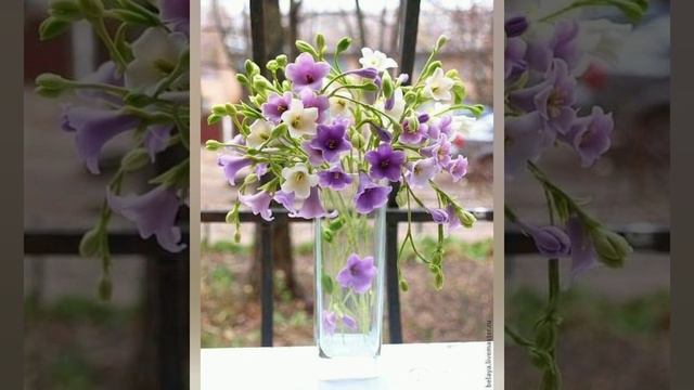 #3августа - Онуфрий Молчаливый