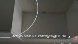 Индукционная печь Haier Мой первый опыт