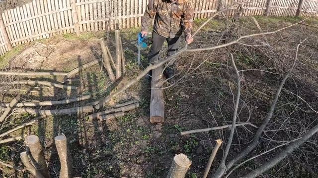 Кто дал ему пилу? Больше у нас нет сада. смотреть онлайн