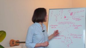 5 золотых правил воспитания детей от 3 до 6 лет. Как не воспитать невротика