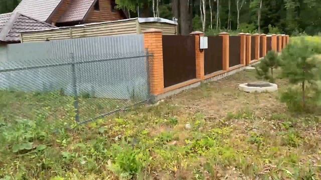 Купил сосны на "Авито" по 160 рублей | Рассказываю как сажал и что с ними стало через 3 месяца смотреть онлайн