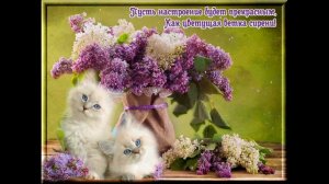 ЖЕЛАЮ ХОРОШЕГО НАСТРОЕНИЯ! ОТКРЫТКА С ПОЖЕЛАНИЕМ ОТЛИЧНОГО НАСТРОЕНИЯ! 60 минут ХОРОШЕГО НАСТРОЕНИЯ