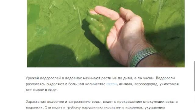 Опыт с тремя порошками, кто лучше справится с зеленкой смотреть онлайн