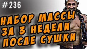 как набрать мышечную массу за 2 недели. после сушки