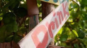 Расслабляющее кафе Босса Нова ~ Джазовая атмосфера Босса Нова для хорошего настроения ~ Июнь